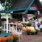 12 Garden Center Display Ideas That Drive Sales and Customer Engagement