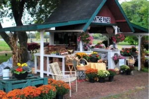 a garden center display with seasonal decor