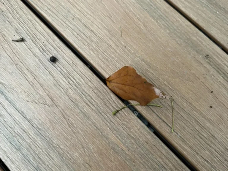 how much gap between deck boards