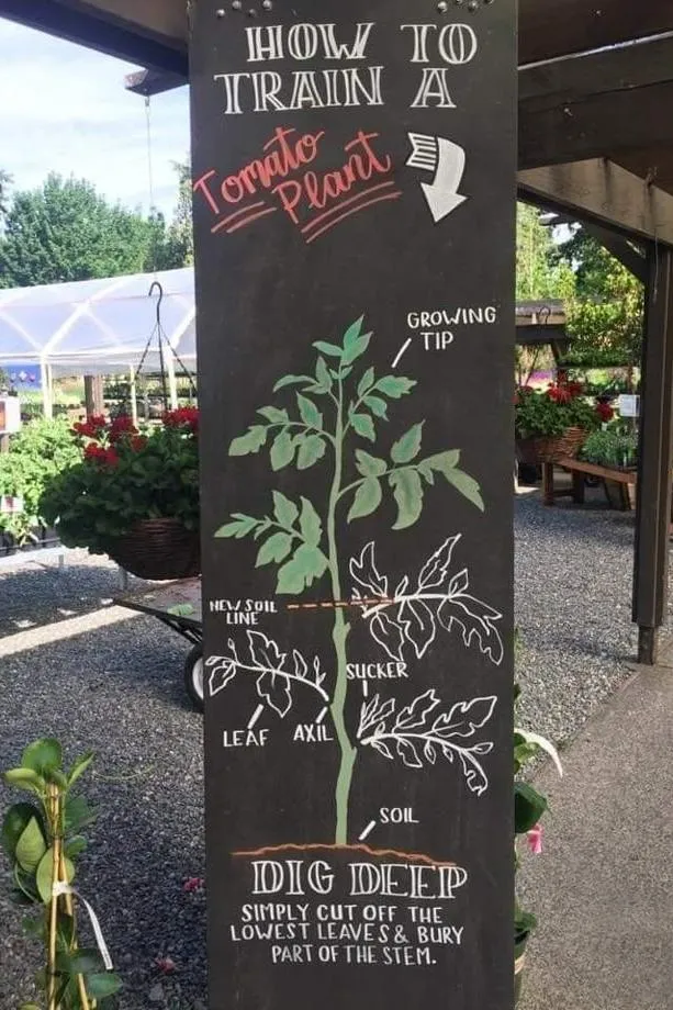 Garden Center Signage Ideas-Educational Signs and How-To Boards