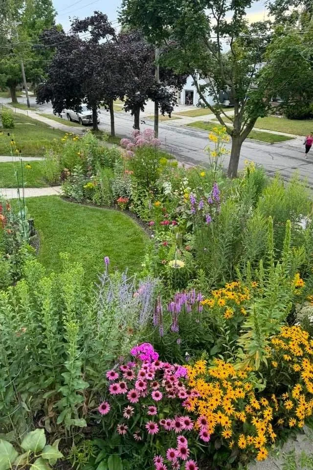 Wildflower Garden Ideas-Front Yard Wildflower Garden
