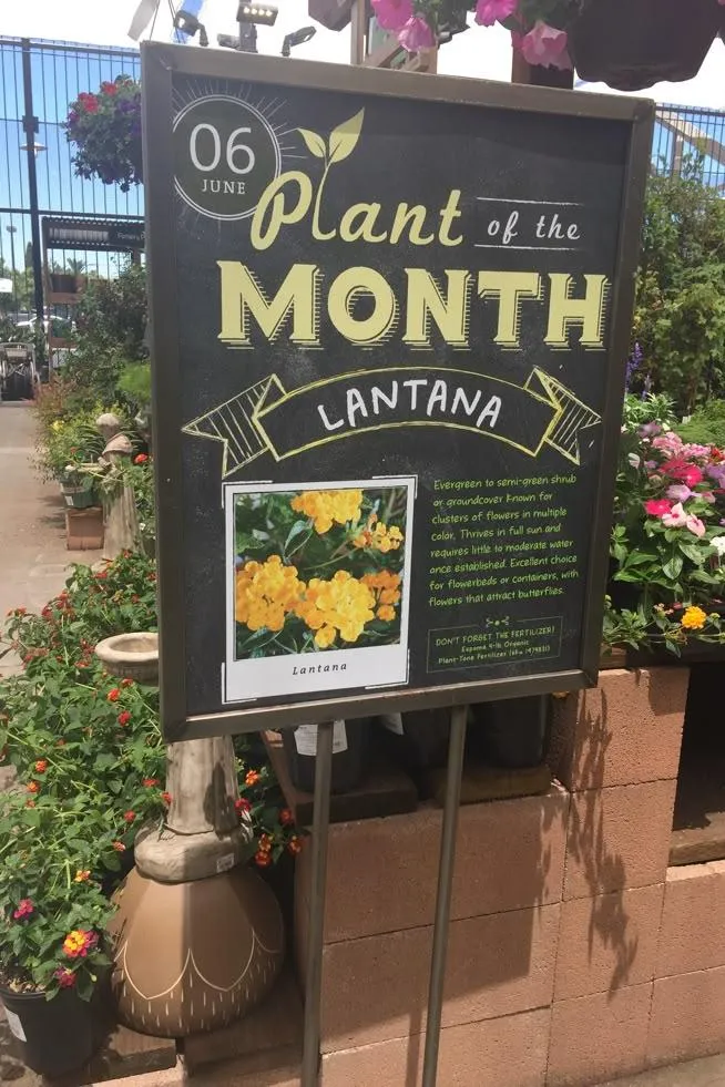Garden Center Signage Ideas-Informative Plant Tags