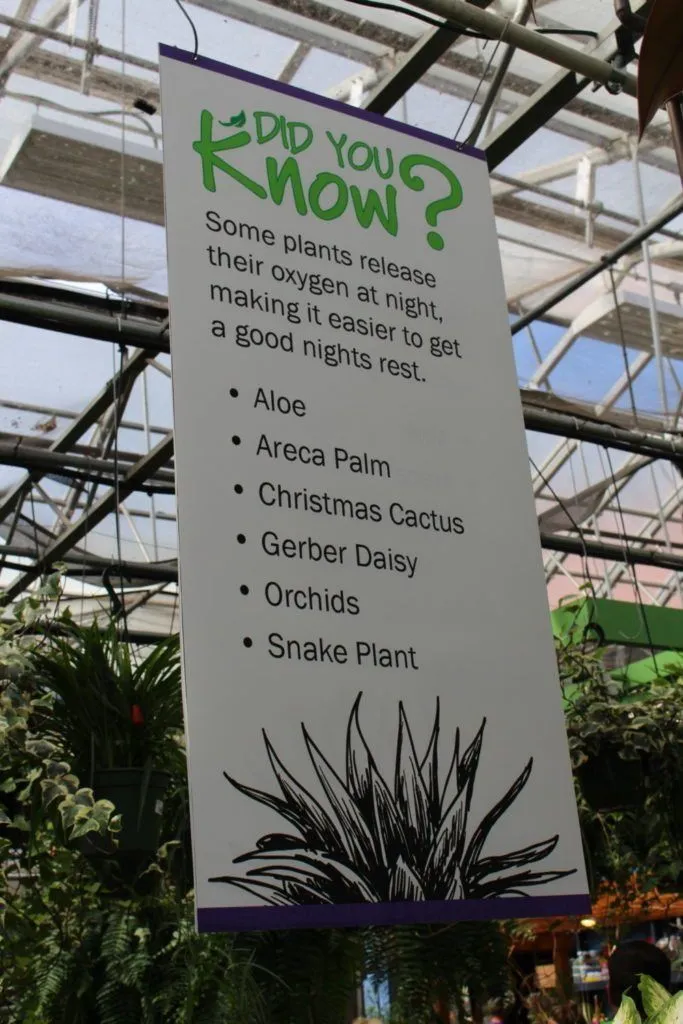 Garden Center Signage Ideas-Interactive Signage for Kids