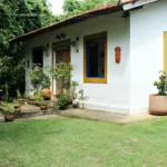 10 Smart Ways to Hide an Unsightly Area in Garden