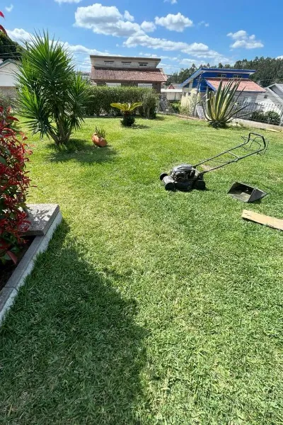 easiest way to clean garden