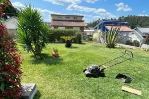 easiest way to clean garden