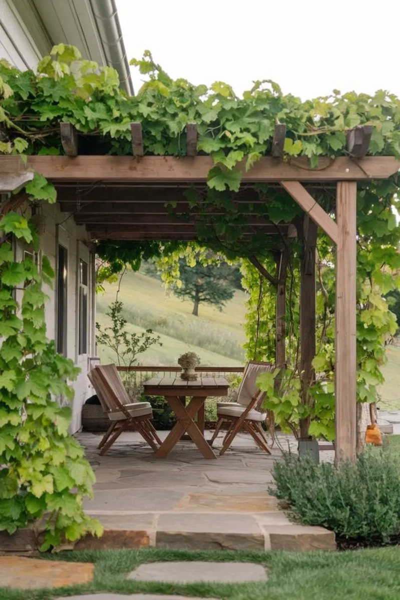 covered patio ideas with green vine roof