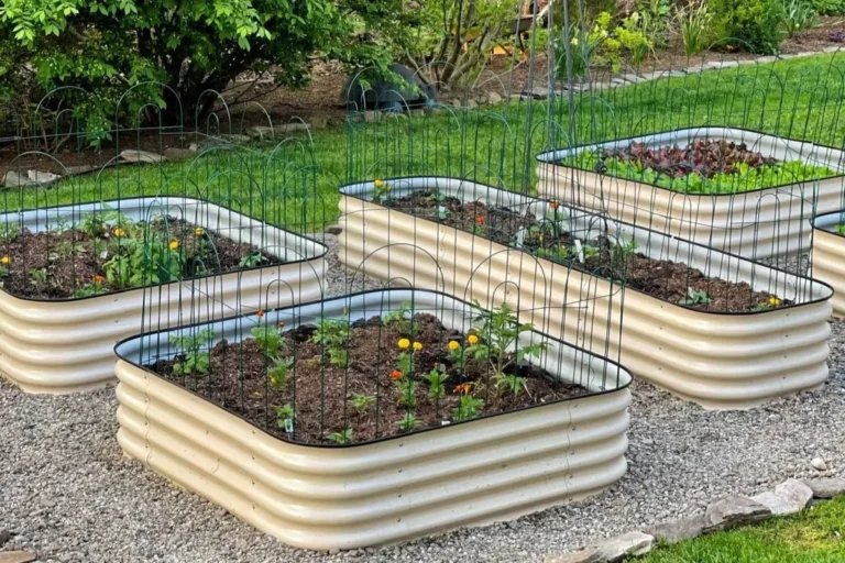 a raised bed garden built with modular kit