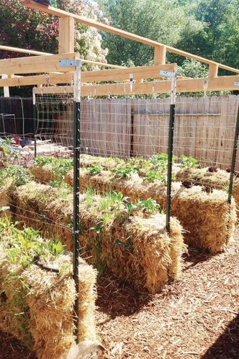 a raised bed garden built with straw bales